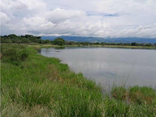 ‏בתים כפריים או חוות ב  Alvarado, Departamento de Tolima