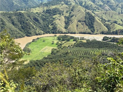 Boerderij in Betulia, Departamento de Santander