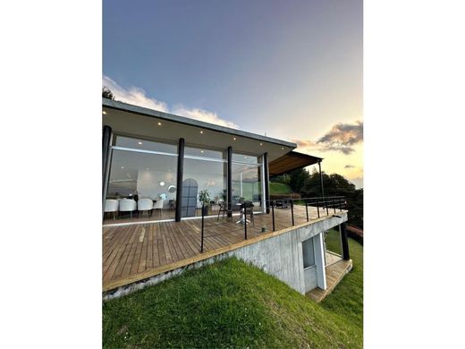 호화 저택 / 메데인, Medellín