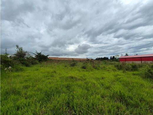 Arsa Popayán, Departamento del Cauca