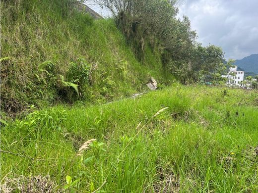 Manizales, Departamento de Caldasの土地