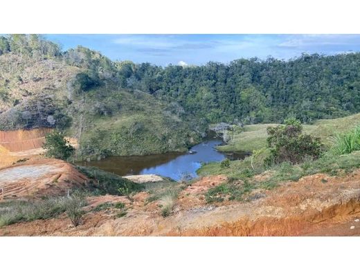 토지 / Guatapé, Departamento de Antioquia