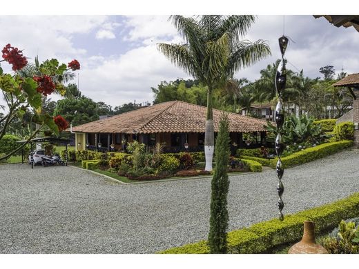 Gospodarstwo w Armenia, Quindío Department