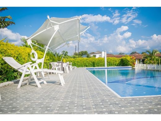 Ferme à La Tebaida, Quindío Department