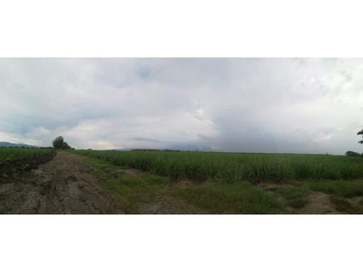 Terrain à Palmira, Departamento del Valle del Cauca