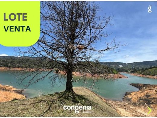 토지 / Guatapé, Departamento de Antioquia