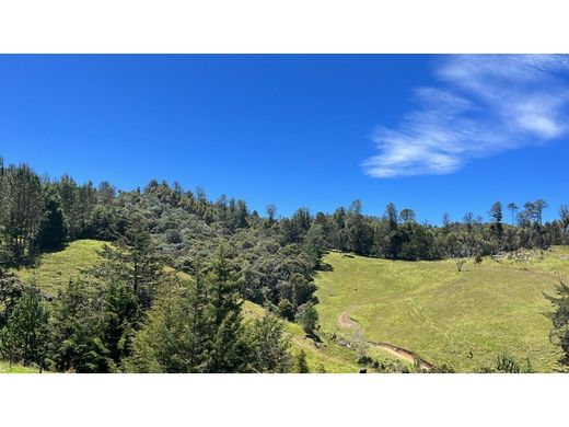 أرض ﻓﻲ Retiro, Departamento de Antioquia