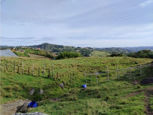 Marinilla, Departamento de Antioquiaのカントリー風またはファームハウス