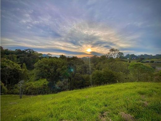 Land in Envigado, Departamento de Antioquia