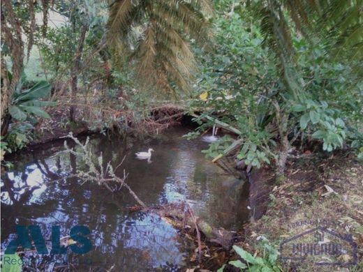 Casale a La Ceja, Departamento de Antioquia