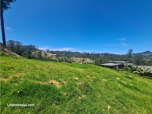 토지 / La Ceja, Departamento de Antioquia