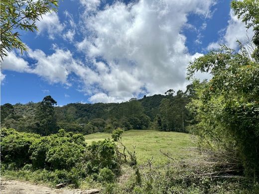 Terreno a Rionegro, Departamento de Antioquia