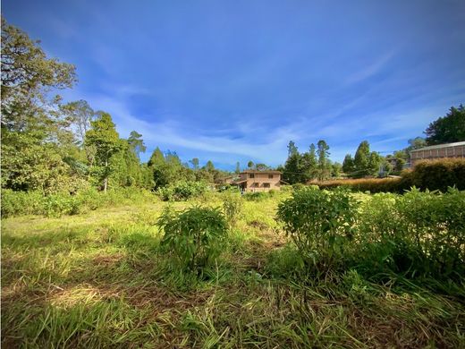 토지 / Guarne, Departamento de Antioquia