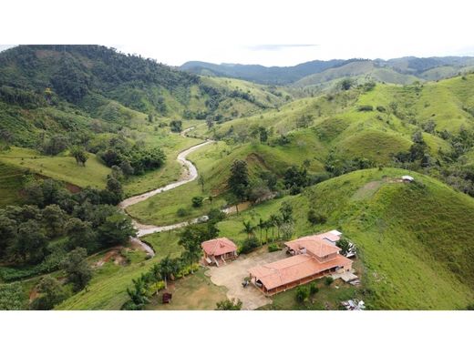 Farmhouse in Vegachí, Yalí