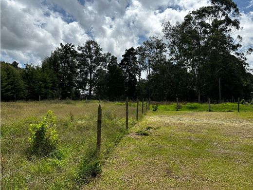 Αγροτεμάχιο σε Rionegro, Departamento de Antioquia