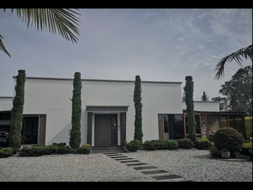 Gospodarstwo w Rionegro, Departamento de Antioquia