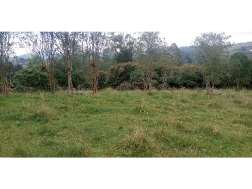 Grond in Envigado, Departamento de Antioquia