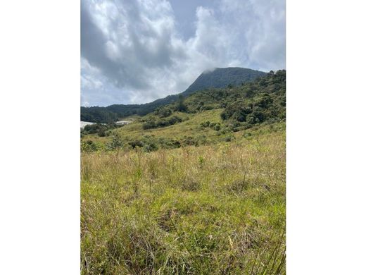 Terreno a La Unión, Departamento de Antioquia