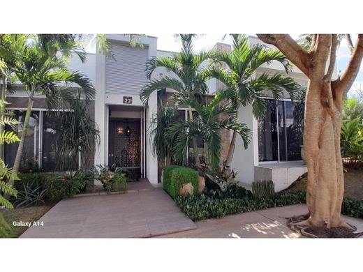 Propriété de campagne à La Tebaida, Quindío Department