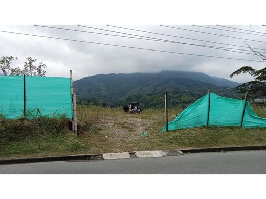 Arsa Armenia, Quindío Department