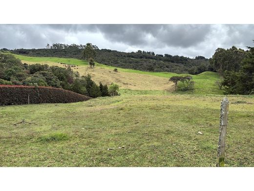 Αγροτεμάχιο σε Envigado, Departamento de Antioquia