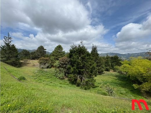 Grundstück in Rionegro, Departamento de Antioquia