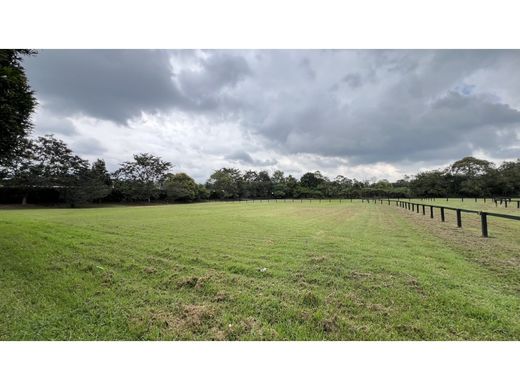 Terrain à Rionegro, Departamento de Antioquia
