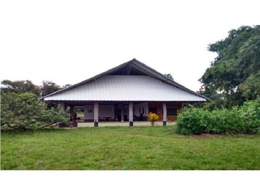 Ferme à Puerto Gaitán, Departamento del Meta