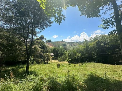 Terreno en Rionegro, Departamento de Antioquia