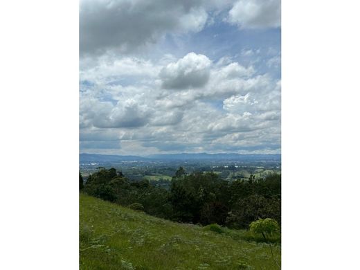Terreno - Rionegro, Departamento de Antioquia