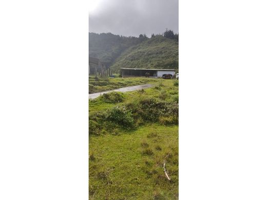 Участок, Кальдас, Caldas