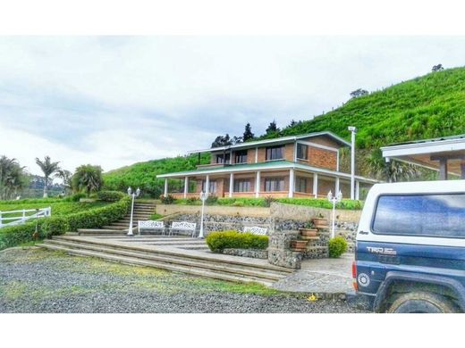 Ρουστίκ ή αγροικία σε Pereira, Departamento de Risaralda