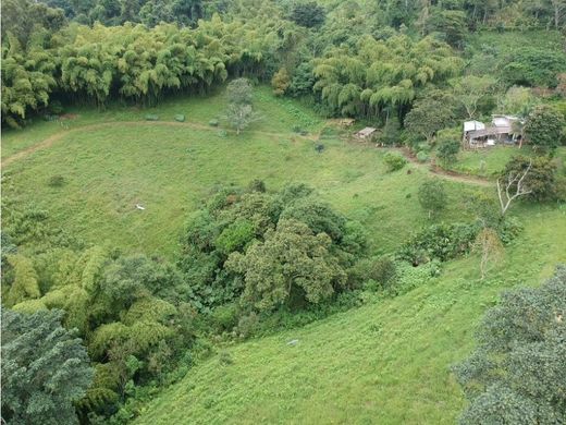 Terrain à Pereira, Departamento de Risaralda