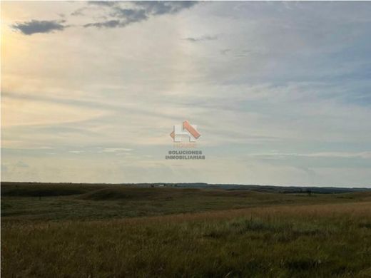 Rustico o casale a La Primavera, Departamento del Vichada