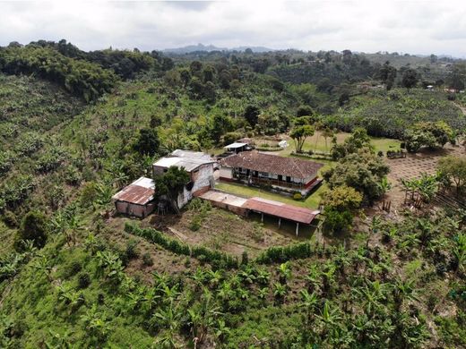Rustik ya da çiftlik Quimbaya, Quindío Department