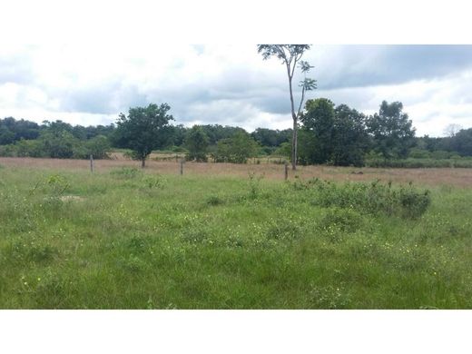 Boerderij in Puerto Parra, Departamento de Santander