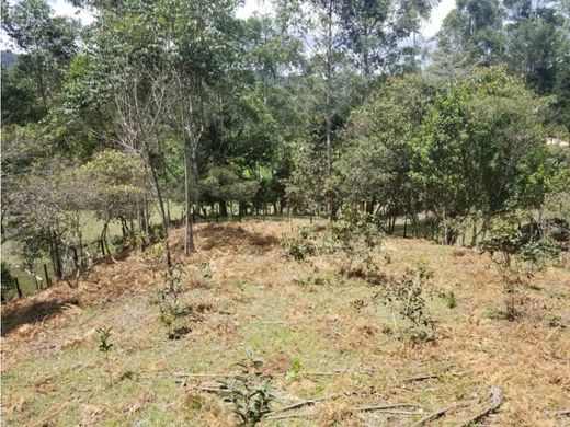 地皮  Rionegro, Departamento de Antioquia