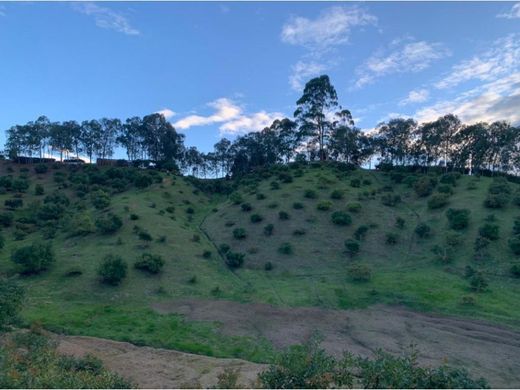 Terreno - Guarne, Departamento de Antioquia