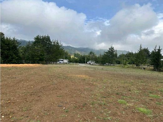 Land in Rionegro, Departamento de Antioquia