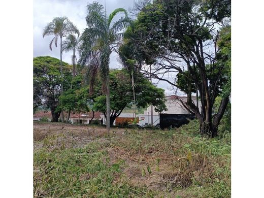 地皮  卡利, Cali