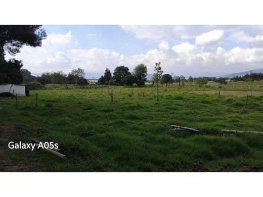 Tocancipá, Departamento de Cundinamarcaの土地