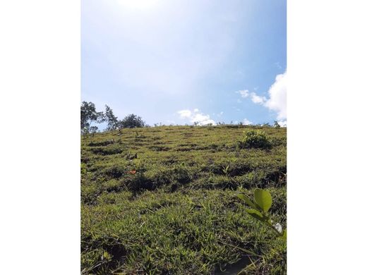 Terrain à San Jerónimo, Departamento de Antioquia