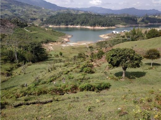Land in Guatapé, Departamento de Antioquia