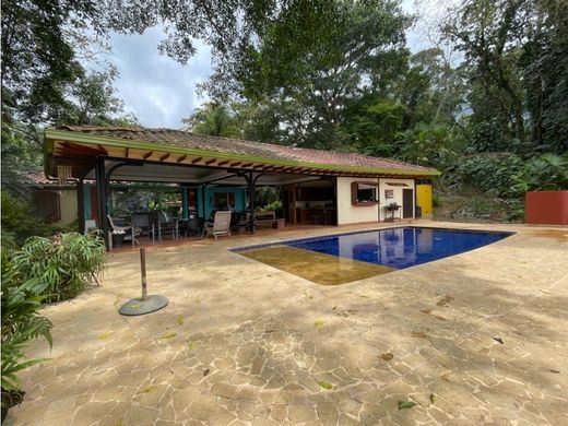 Ferme à Venecia, Departamento de Antioquia