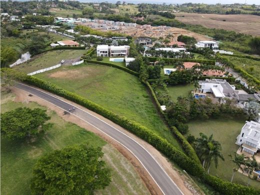 Terrain à Pereira, Departamento de Risaralda