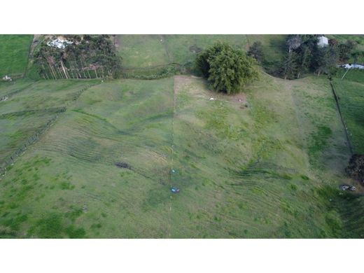 Rionegro, Departamento de Antioquiaの土地