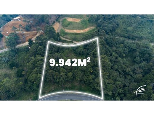 ‏קרקע ב  מדיין
, Medellín