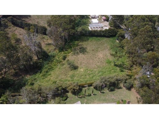 Αγροτεμάχιο σε Rionegro, Departamento de Antioquia