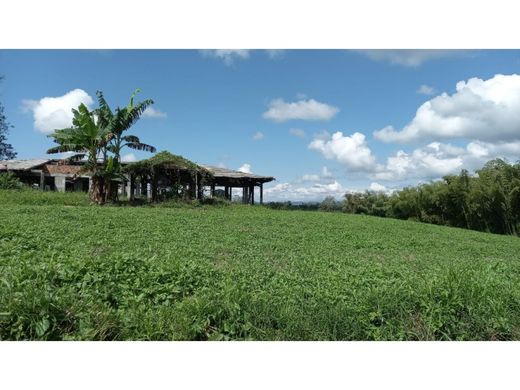 Terreno en Montenegro, Quindío Department