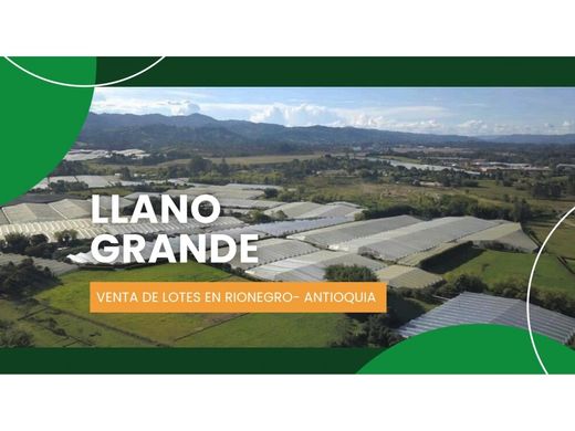 Arsa Rionegro, Departamento de Antioquia